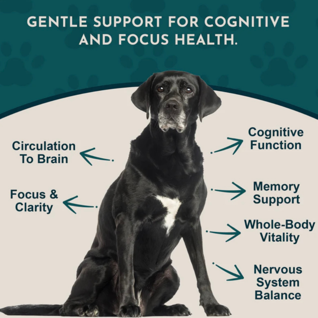 Animal Essentials Brain Awake | Natural Cognitive + Nerve Support