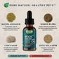 Brain Awake | Organic Cognitive + Nerve Support