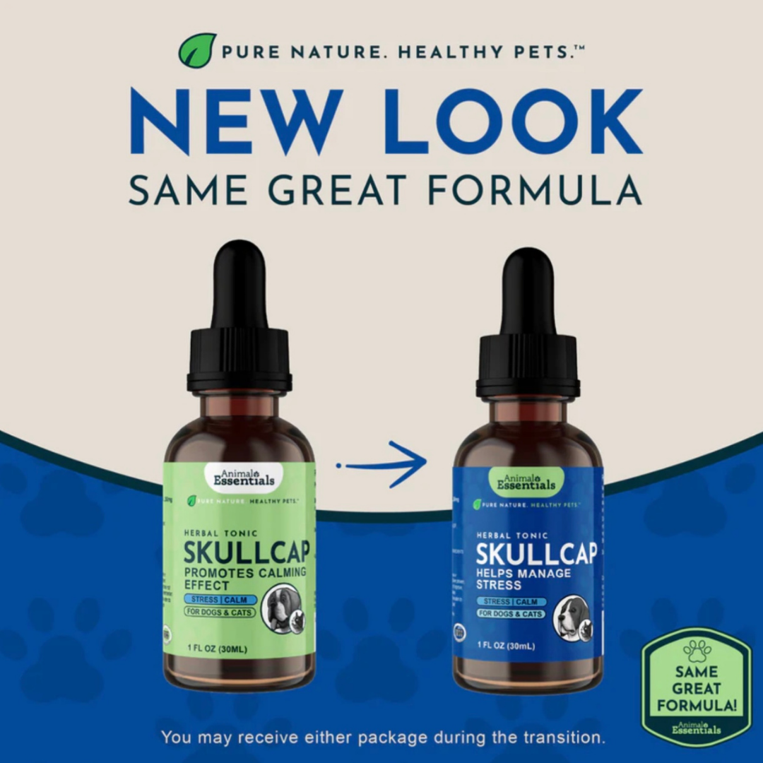 Animal Essentials Skullcap | Promotes Calming Effect