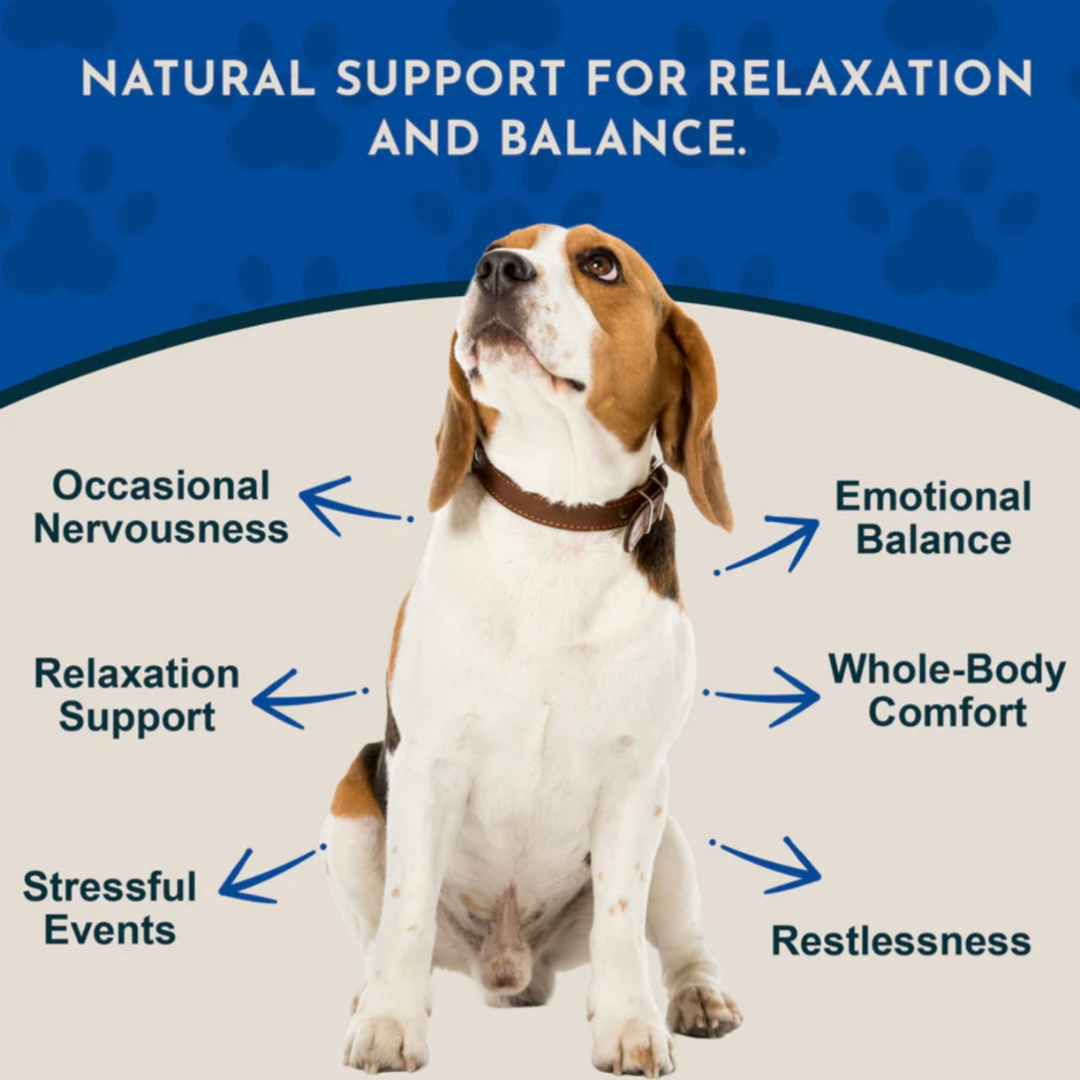 Animal Essentials Skullcap | Promotes Calming Effect