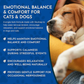 Animal Essentials Skullcap | Promotes Calming Effect