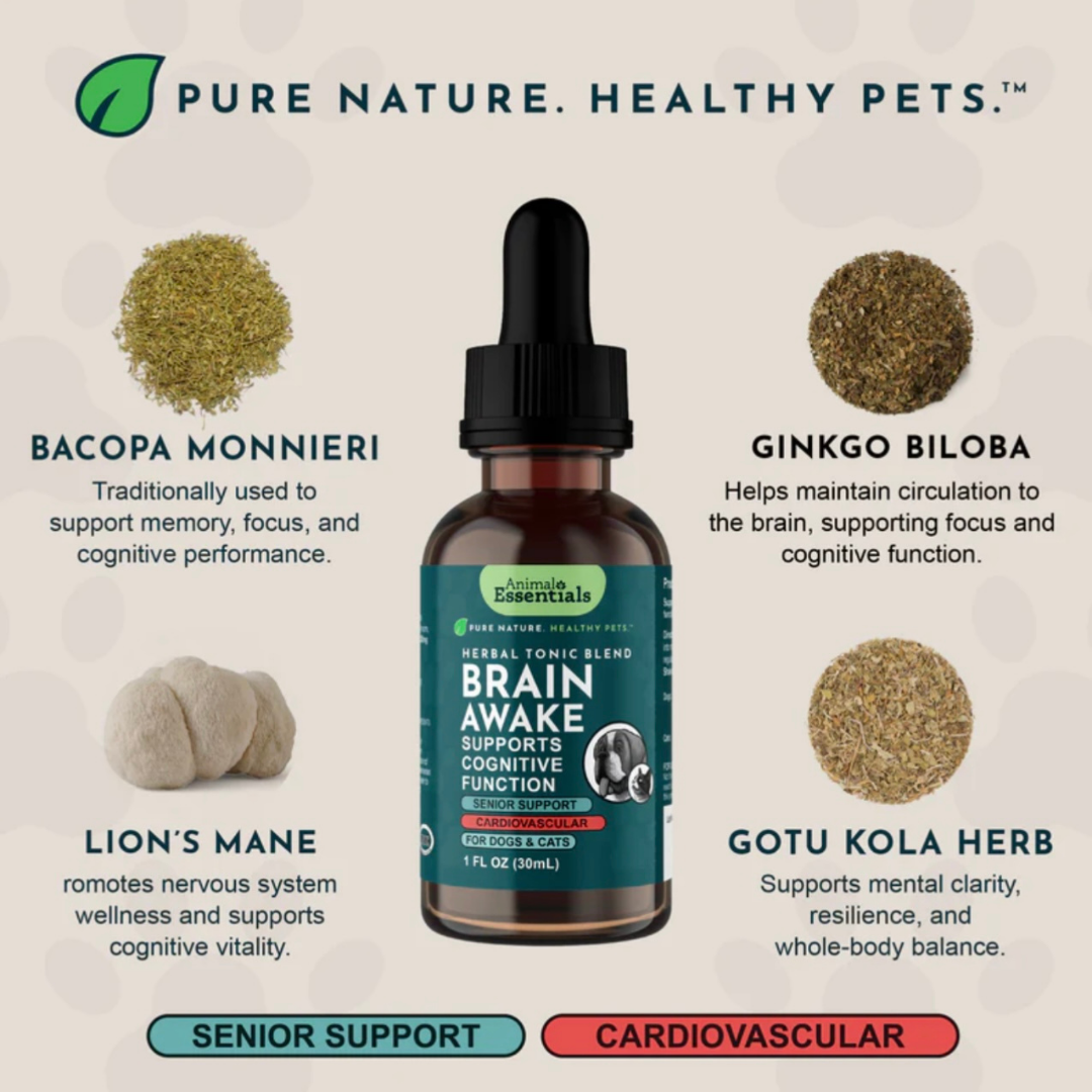 Animal Essentials Brain Awake | Natural Cognitive + Nerve Support