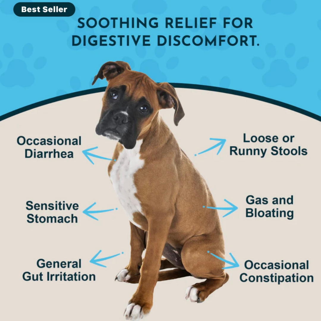 Animal Essentials Slippery Elm | Natural Digestive Soother