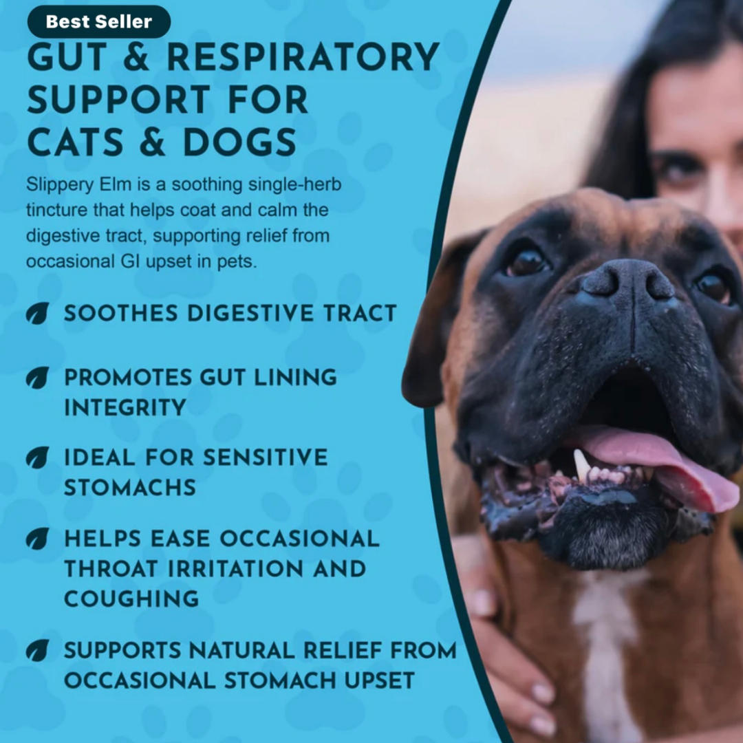 Animal Essentials Slippery Elm | Natural Digestive Soother