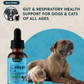 Animal Essentials Slippery Elm | Natural Digestive Soother