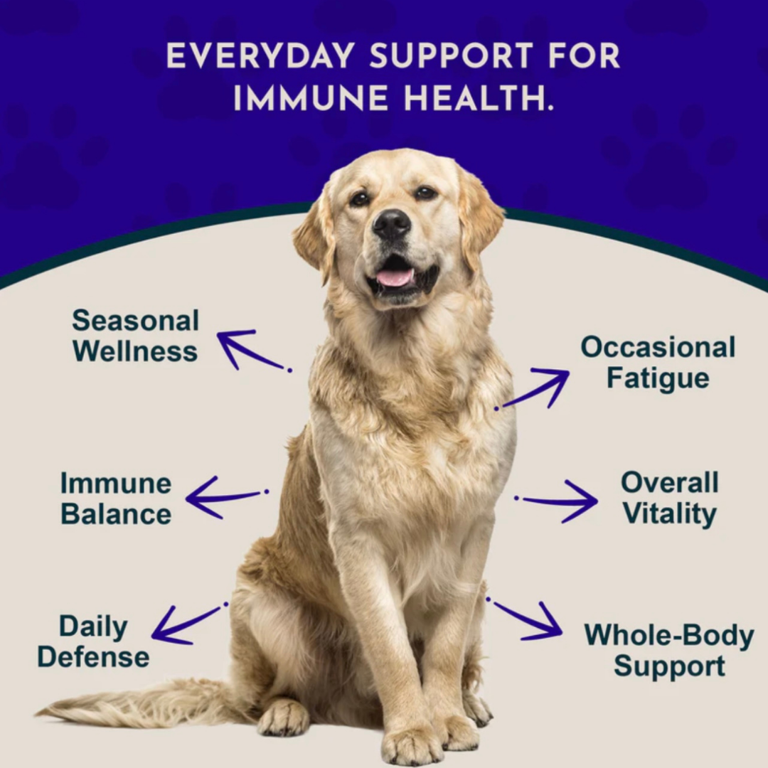 Animal Essentials Super Immune | Comprehensive Immune + Wellness Boost