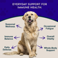Animal Essentials Super Immune | Comprehensive Immune + Wellness Boost