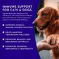 Animal Essentials Super Immune | Comprehensive Immune + Wellness Boost