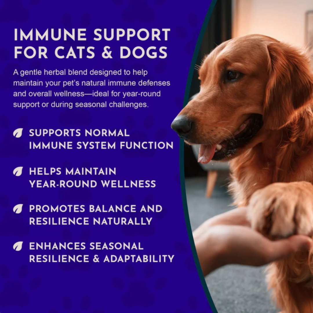 Animal Essentials Super Immune | Comprehensive Immune + Wellness Boost