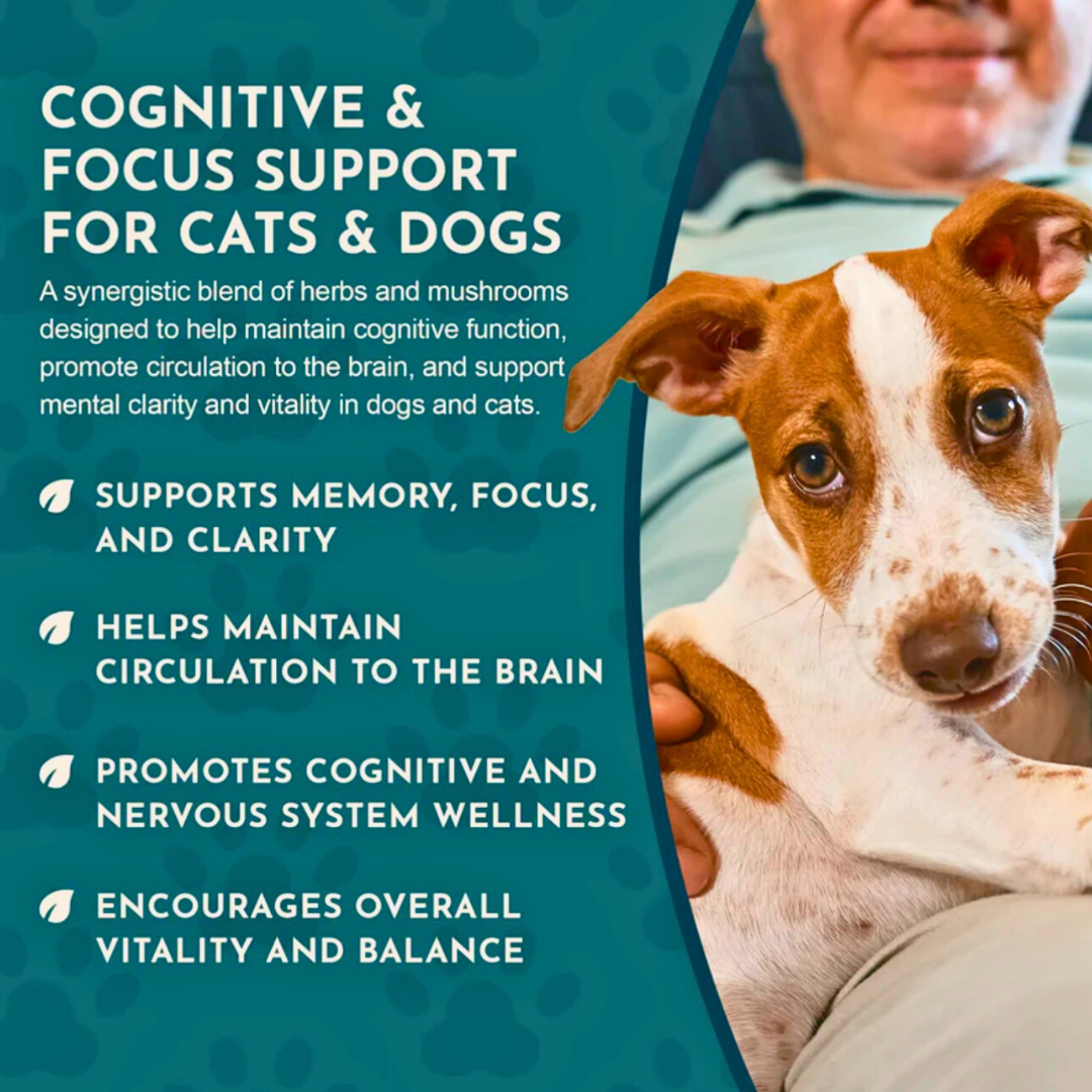 Animal Essentials Brain Awake | Natural Cognitive + Nerve Support