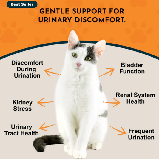 Animal Essentials Tinkle Tonic | Urinary Health Support
