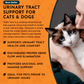 Animal Essentials Tinkle Tonic | Urinary Health Support