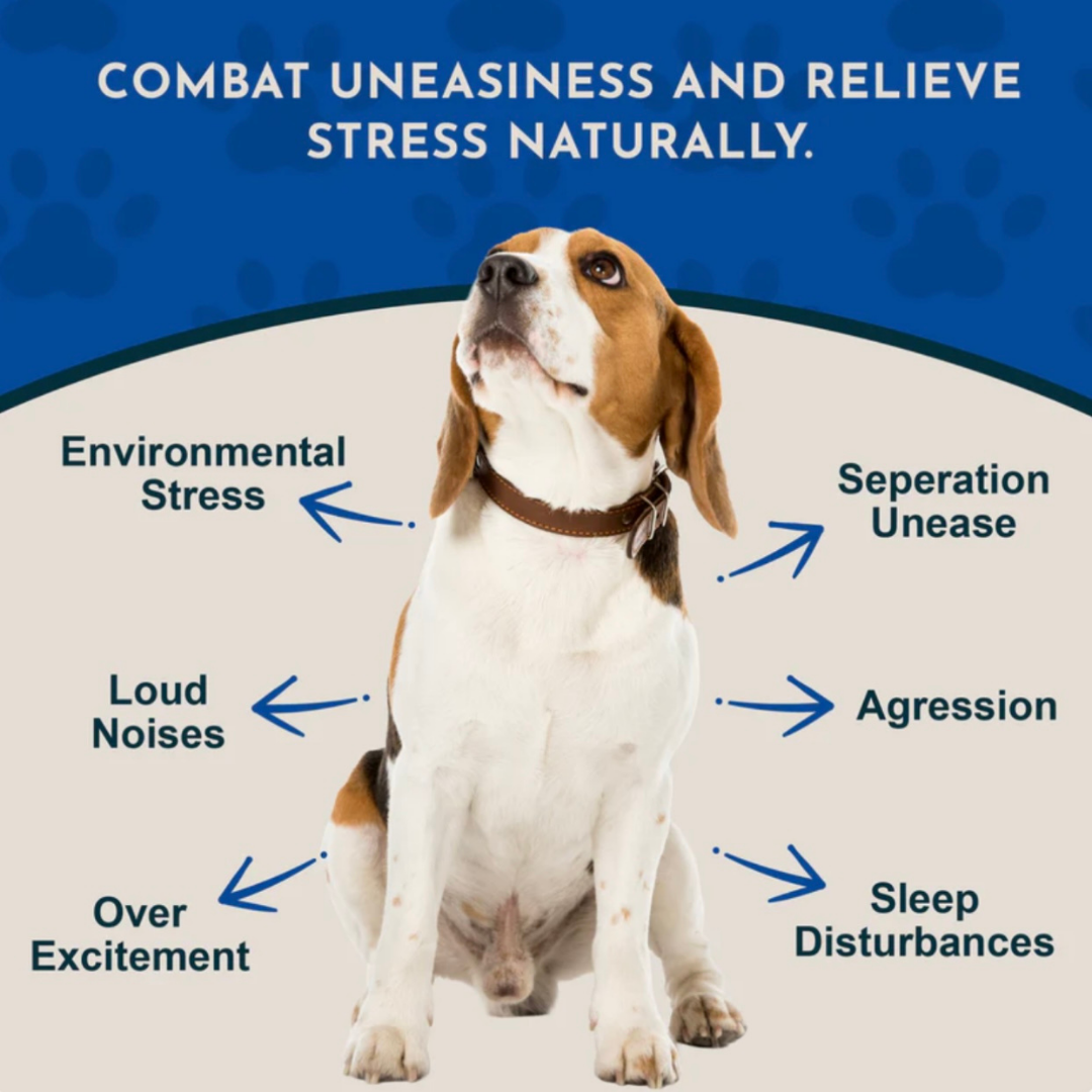 Animal Essentials Tranquil Times | Calming Support + Stress Relief