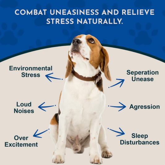 Animal Essentials Tranquil Times | Calming Support + Stress Relief