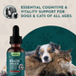 Brain Awake | Organic Cognitive + Nerve Support