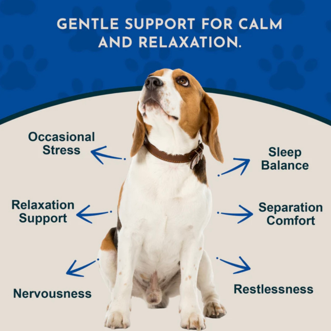 Animal Essentials Valerian | Relaxation + Anxiety Relief