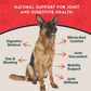 Animal Essentials Yucca | Maintain Joint Mobility + Digestion