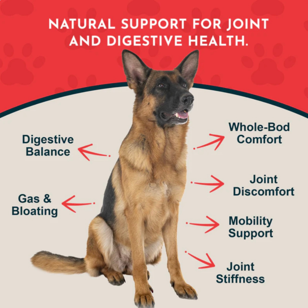 where can i buy yucca for dogs Animal Essentials Yucca Herbal Extract for Dogs & Cats (1 oz)