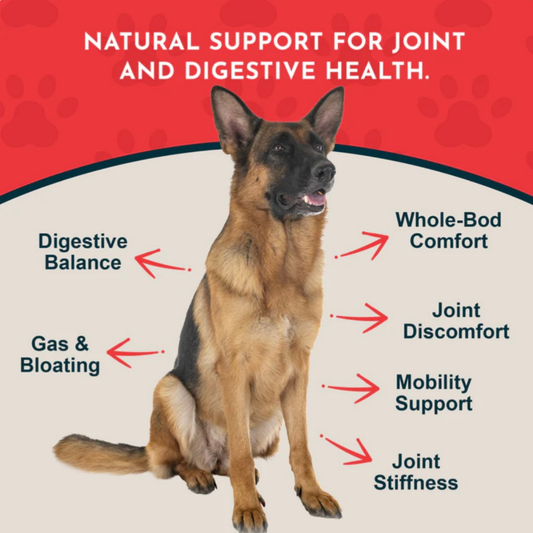 Animal Essentials Yucca | Maintain Joint Mobility + Digestion