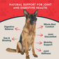 Animal Essentials Yucca | Maintain Joint Mobility + Digestion