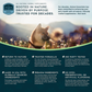 Animal Essentials Yucca | Maintain Joint Mobility + Digestion