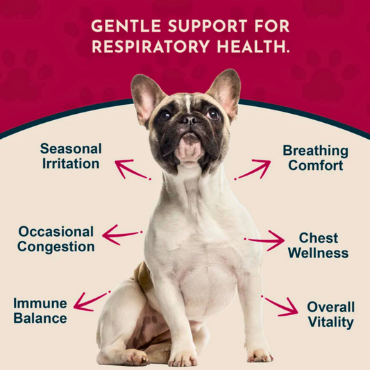 Animal Essentials Breathe EZ | Natural Respiratory + Allergy Relief