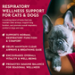 Breathe EZ | Natural Organic Respiratory + Airway Support