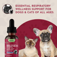 Breathe EZ | Natural Organic Respiratory + Airway Support