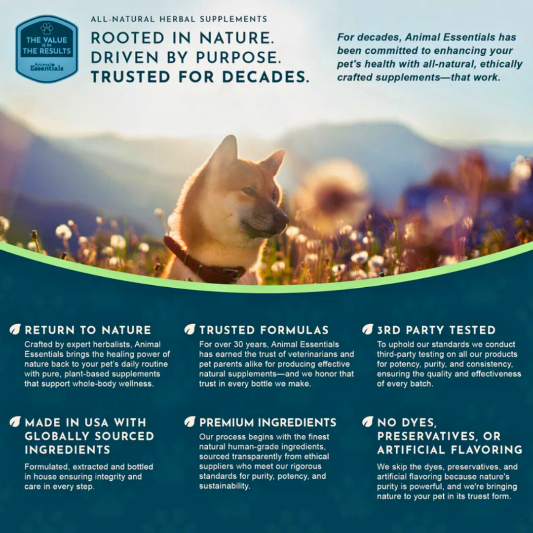 Animal Essentials Breathe EZ | Natural Respiratory + Allergy Relief