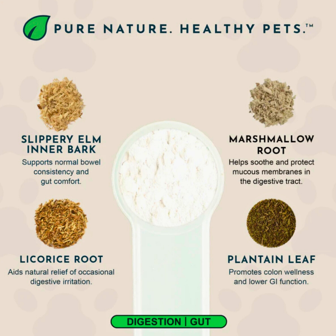 Animal Essentials Colon Rescue Powder | Soothing Digestive Support