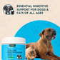 Animal Essentials Colon Rescue Powder | Soothing Digestive Support