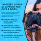 Animal Essentials Colon Rescue Powder | Soothing Digestive Support