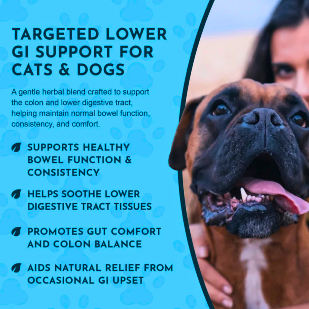 Animal Essentials Colon Rescue Powder | Soothing Digestive Support