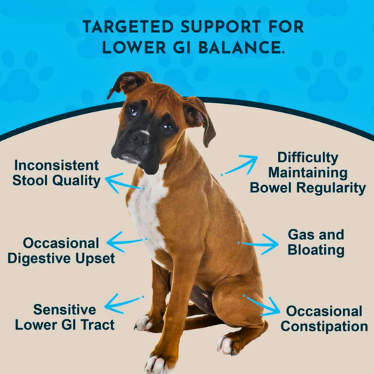 Animal Essentials Colon Rescue | Soothing Digestive Support