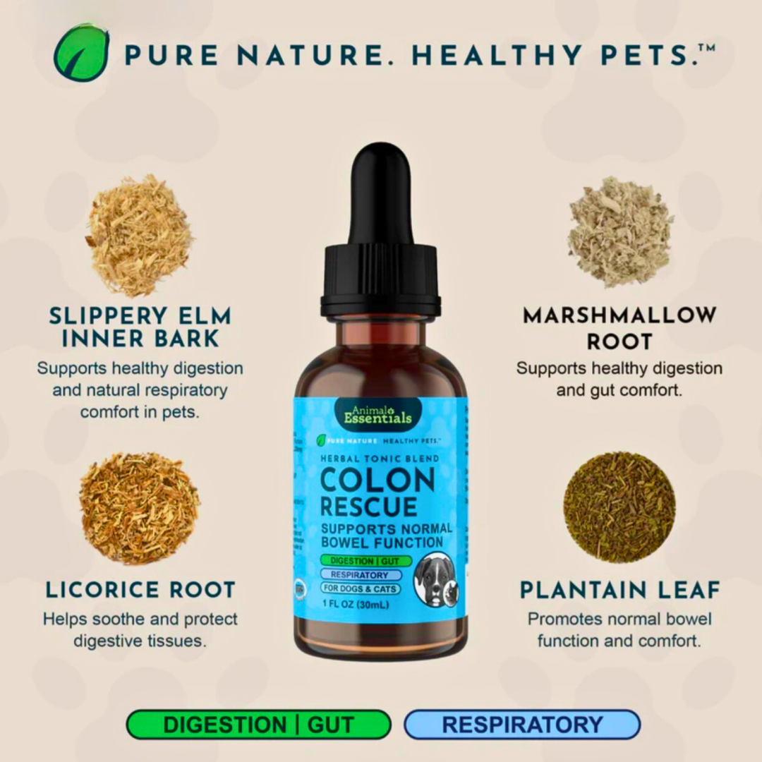 Animal Essentials Colon Rescue | Soothing Digestive Support