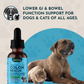 Colon Rescue | Organic Digestive + Gut-Soothing Support