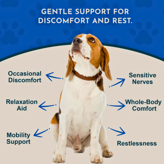 Animal Essentials Comfort Plus | Natural Calming + Pain Relief