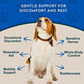 Animal Essentials Comfort Plus | Natural Calming + Pain Relief