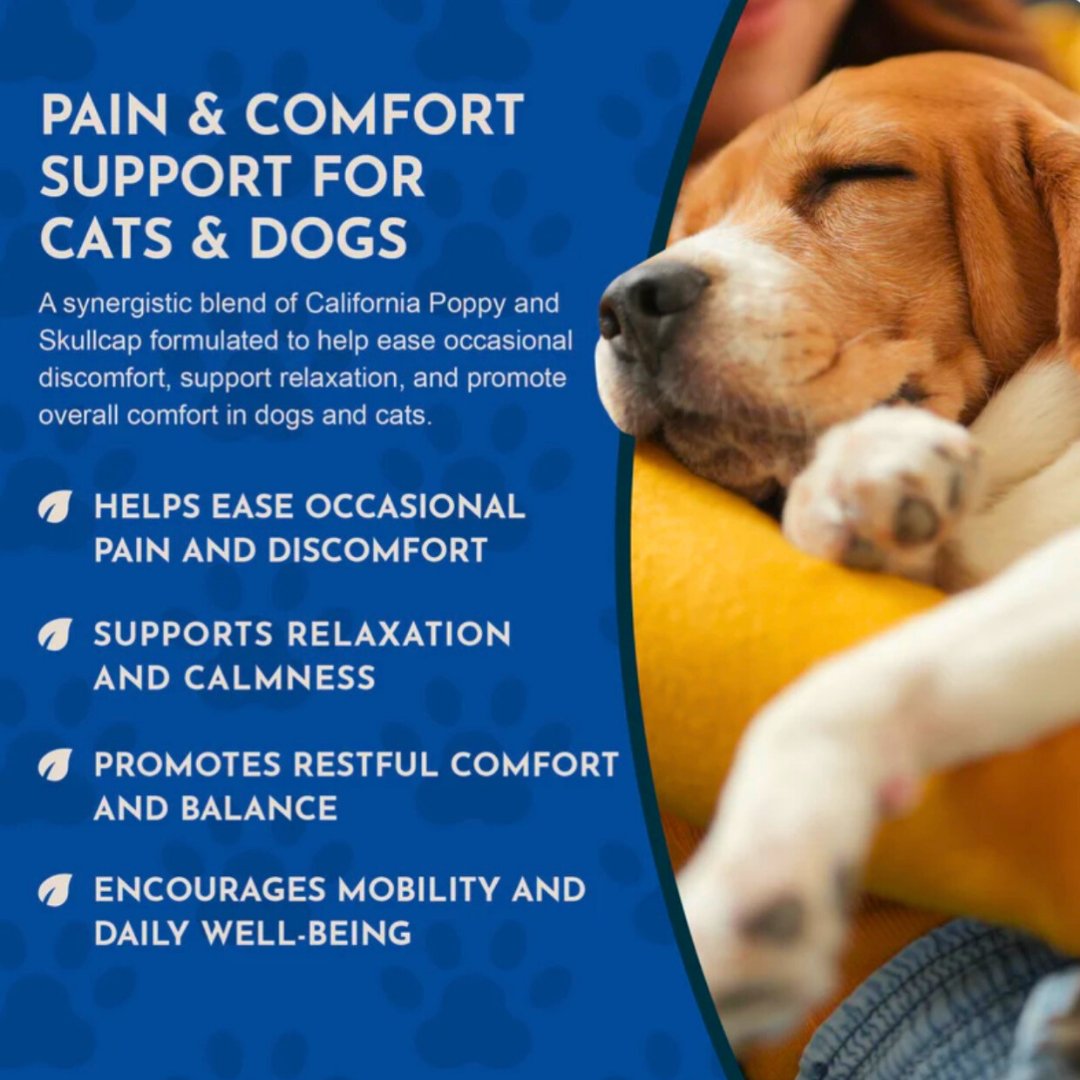 Animal Essentials Comfort Plus | Natural Calming + Pain Relief