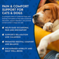 Animal Essentials Comfort Plus | Natural Calming + Pain Relief