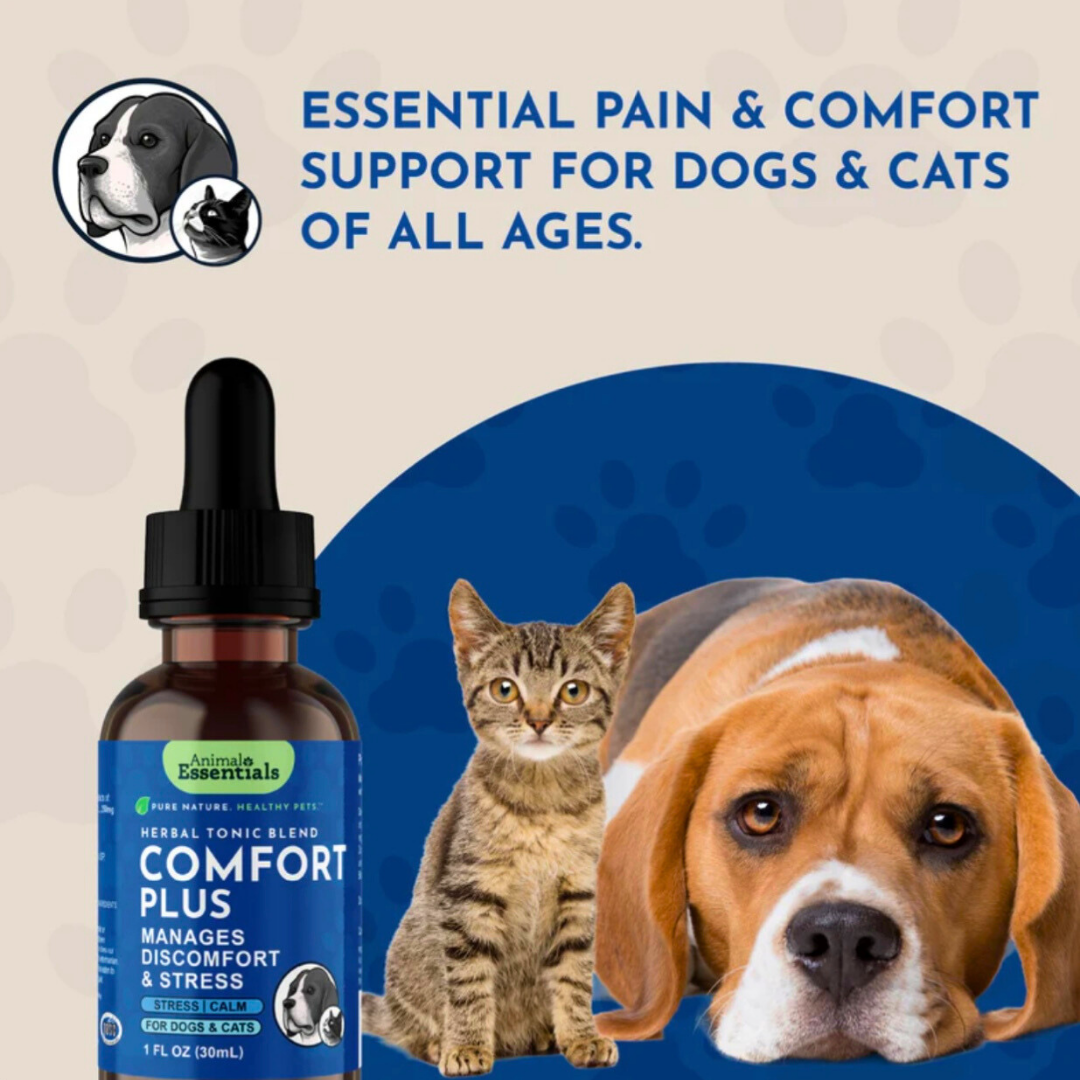 Animal Essentials Comfort Plus | Natural Calming + Pain Relief