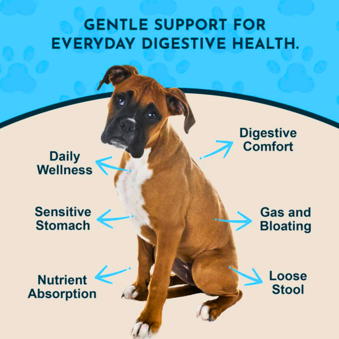 Animal Essentials Daily Digestion | Reflux + Digestive Relief