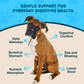 Animal Essentials Daily Digestion | Reflux + Digestive Relief