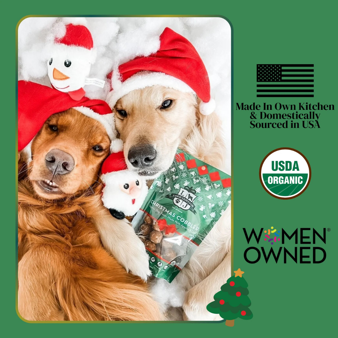 Lord Jameson Holiday Cobbler Organic Dog Treats | Natural USDA Organic Apple & Peanut Butter Treats