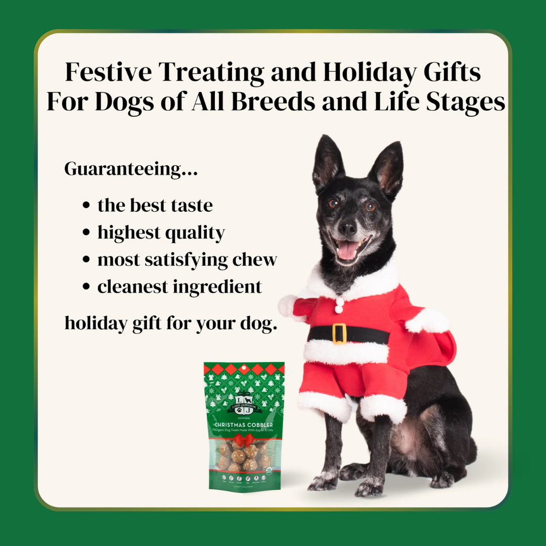 Lord Jameson Holiday Cobbler Organic Dog Treats | Natural USDA Organic Apple & Peanut Butter Treats