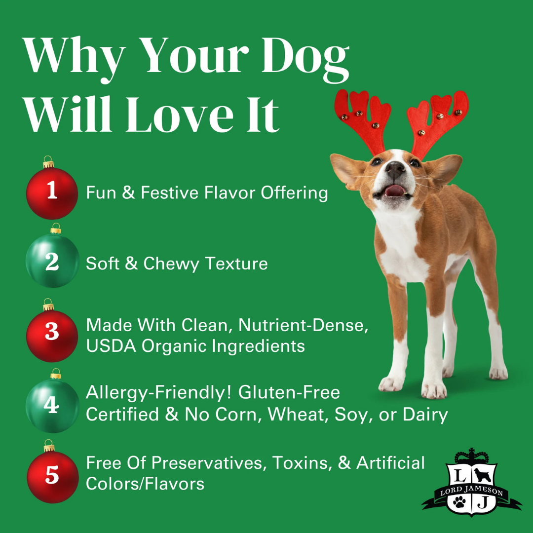 Lord Jameson Holiday Cobbler Organic Dog Treats | Natural USDA Organic Apple & Peanut Butter Treats