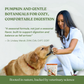 Botanical Bones Pumpkin Spice Dog Treats | Organic Fiber + Fall Comfort