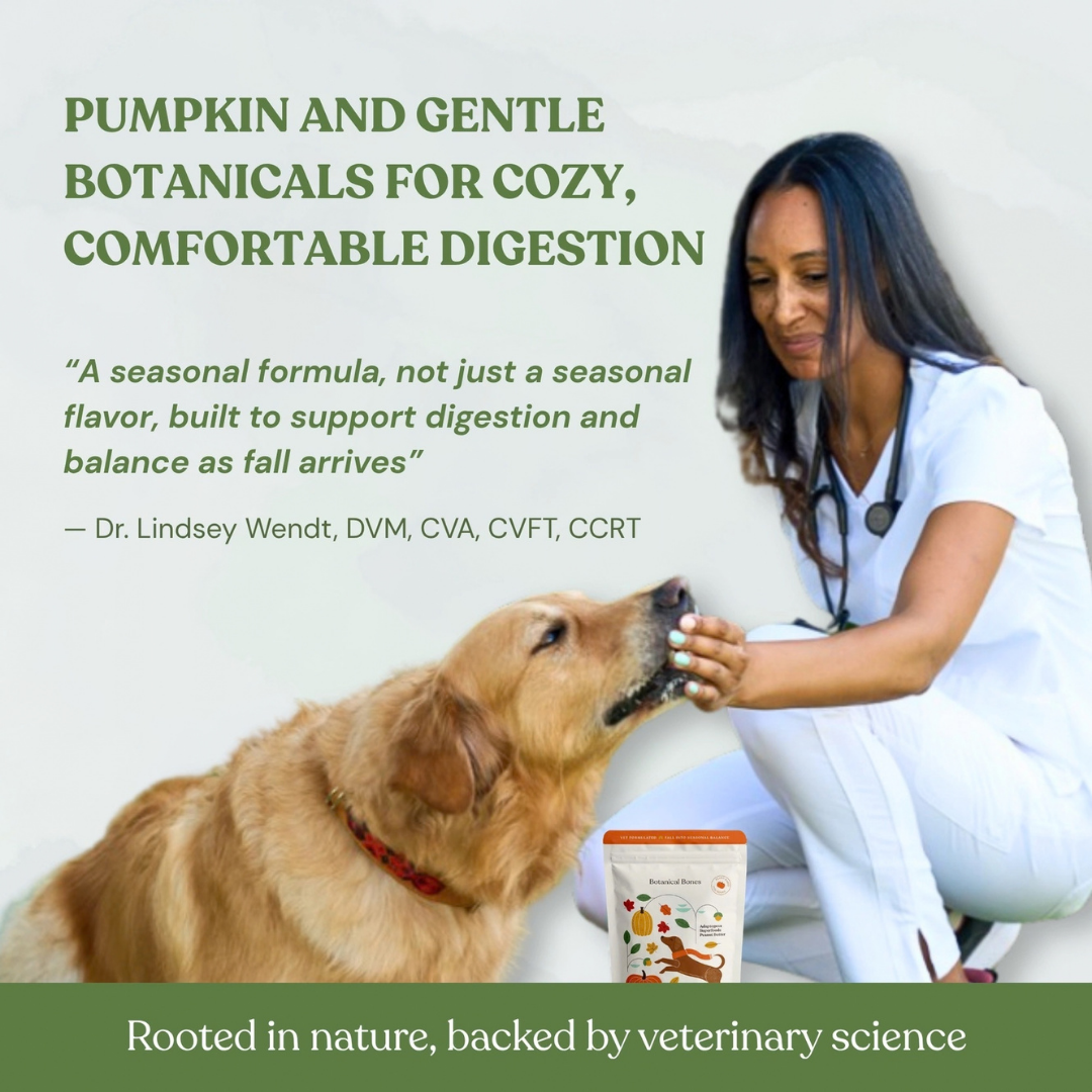 Botanical Bones Pumpkin Spice Dog Treats | Organic Fiber + Fall Comfort