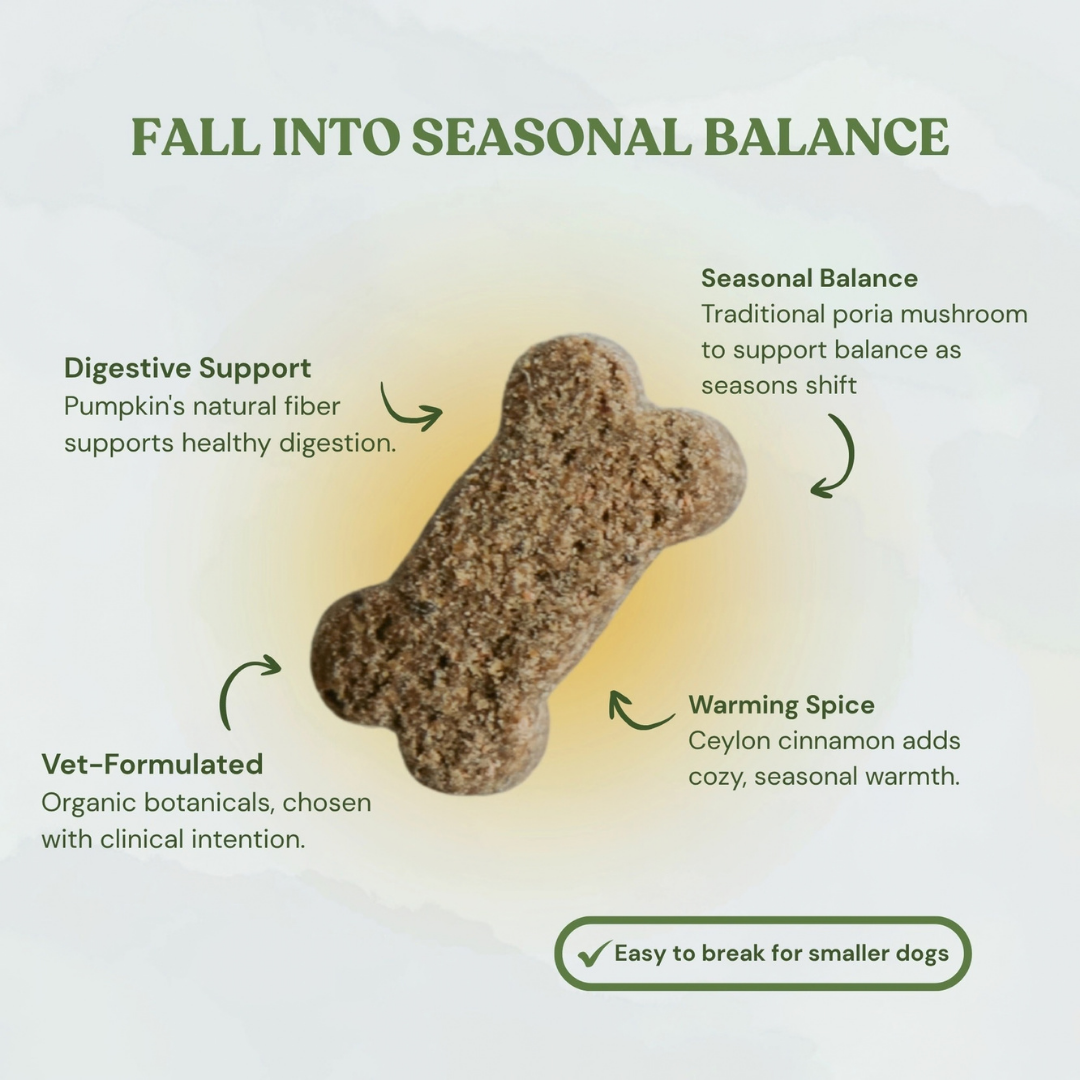 Botanical Bones Pumpkin Spice Dog Treats | Organic Fiber + Fall Comfort