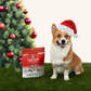 Lord Jameson Candy Cane Kisses | Natural USDA Organic Low-Calorie Training Treats